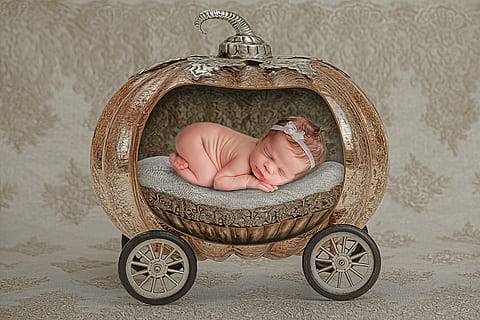 newborn-pumpkin-carriage-infant-thumbnai