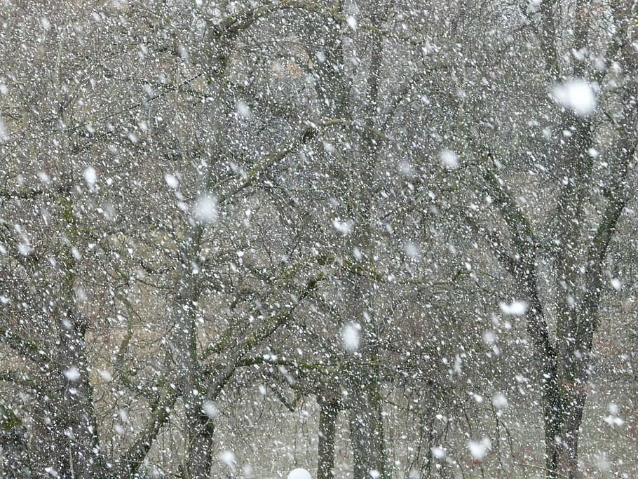 Snowfall, Snowflakes, Blizzard, winter, winter dream, cold HD wallpaper