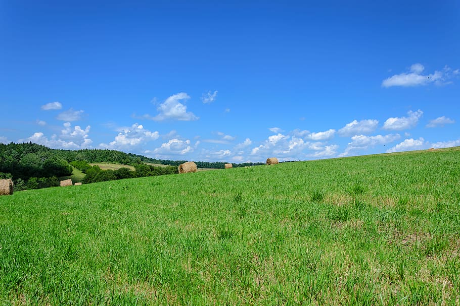 Grass, Fields, Bales, Agriculture, landscape, straw, harvest HD wallpaper