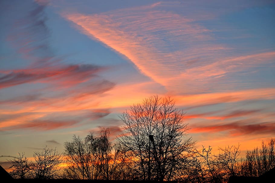 sunset, nature, sky, panoramic, cloud, tree, beauty in nature HD wallpaper
