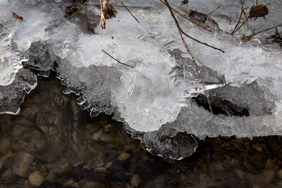 ice, winter, water, bach, cold temperature, frozen, snow, nature HD wallpaper