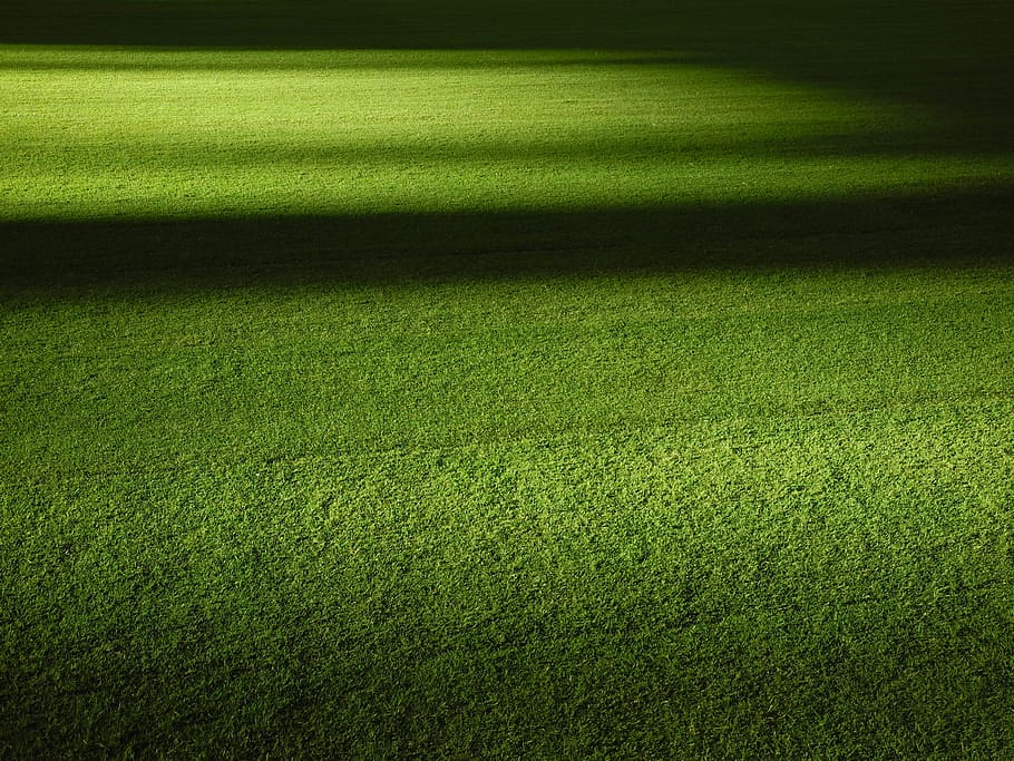green grass field at nightime, green lawn yard, turf, shadow HD wallpaper