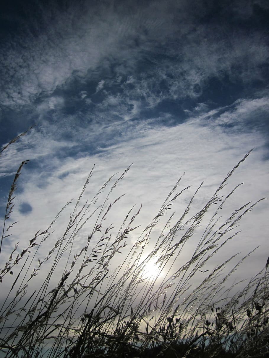grain, sky, clouds, cloud - sky, nature, beauty in nature, no people HD wallpaper
