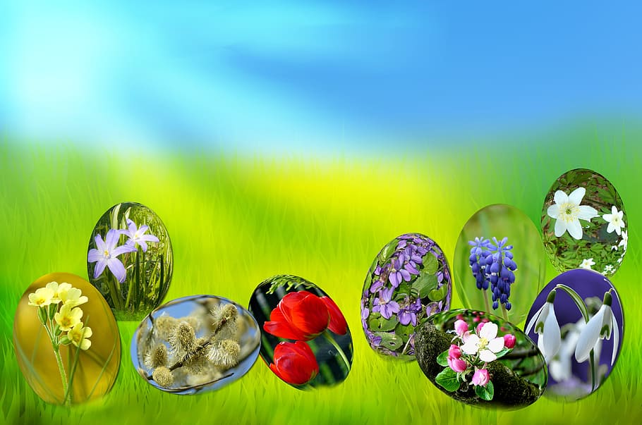 Easter, Eggs, Spring, Sun, Grass, Green, sky, blue, light, primrose HD wallpaper
