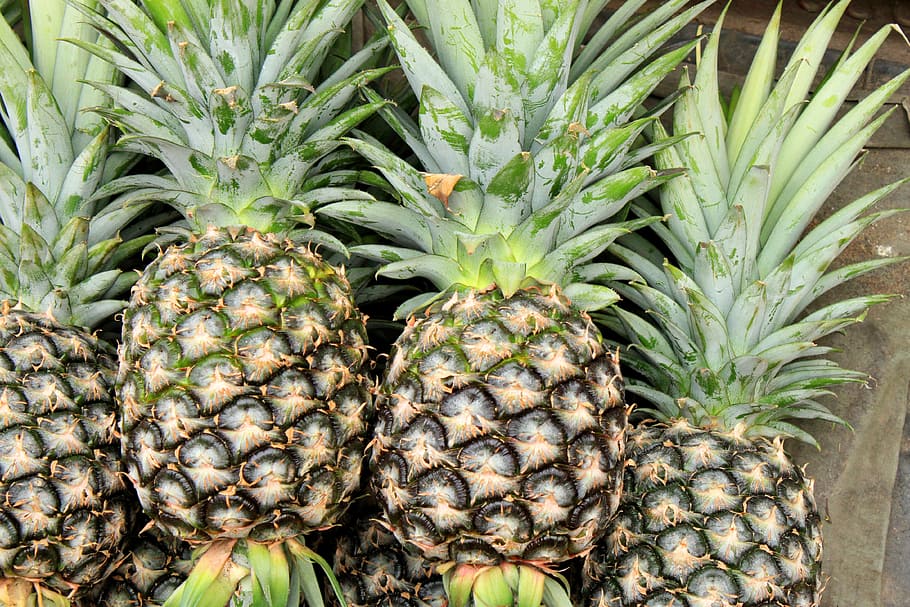 closeup photo of pineapples, fruit, food, food and drink, tropical fruit HD wallpaper