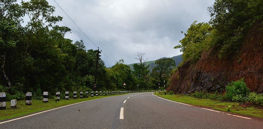india, indian road, village road, tree, transportation, plant