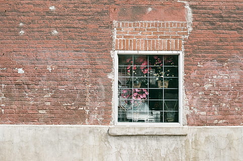 white window near pink flowers during daytime, building, brick HD wallpaper