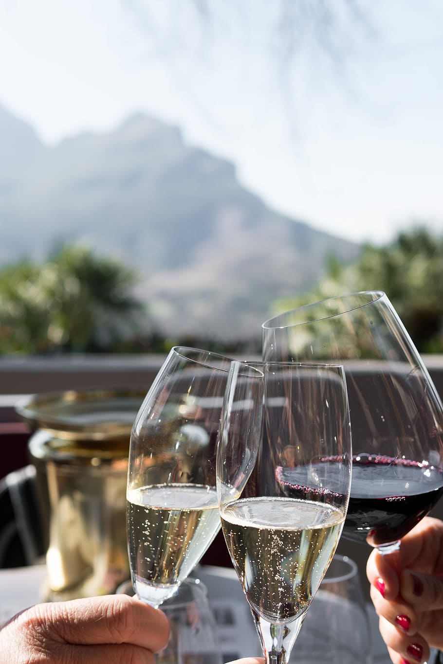 three person holding wine glasses, people drinking wines during daytime HD wallpaper