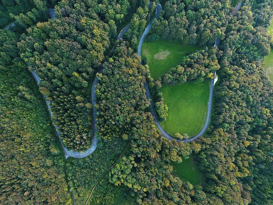 aerial photograph of concrete road between trees, aerial photography of road surrounded with green trees HD wallpaper
