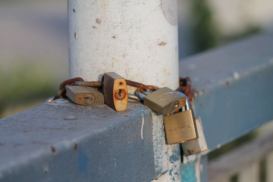 padlocks, rust, love, iron, railing, selective focus, metal HD wallpaper