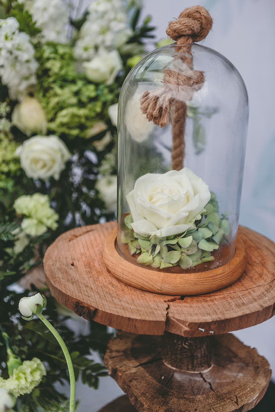 Flowers, Hydrangea, Bottles, rose, hemp rope, no people, food and drink HD wallpaper