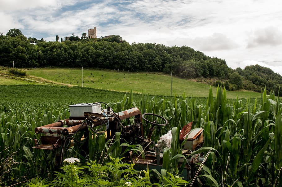 field, broken, farm, tractor, old, rust, plant, green color, growth HD wallpaper