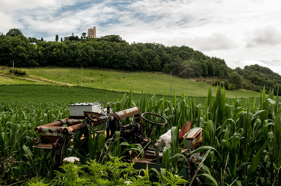 green plants during daytime, brown, tractor, corn, field, broken HD wallpaper