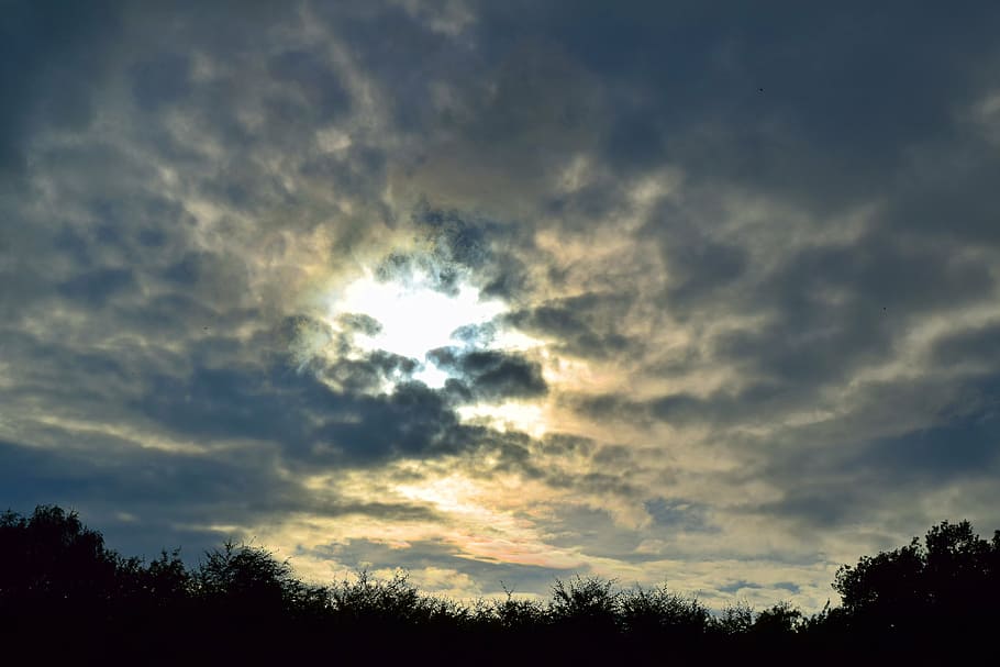 sky, sun, clouds, cloud - sky, tree, beauty in nature, plant HD wallpaper