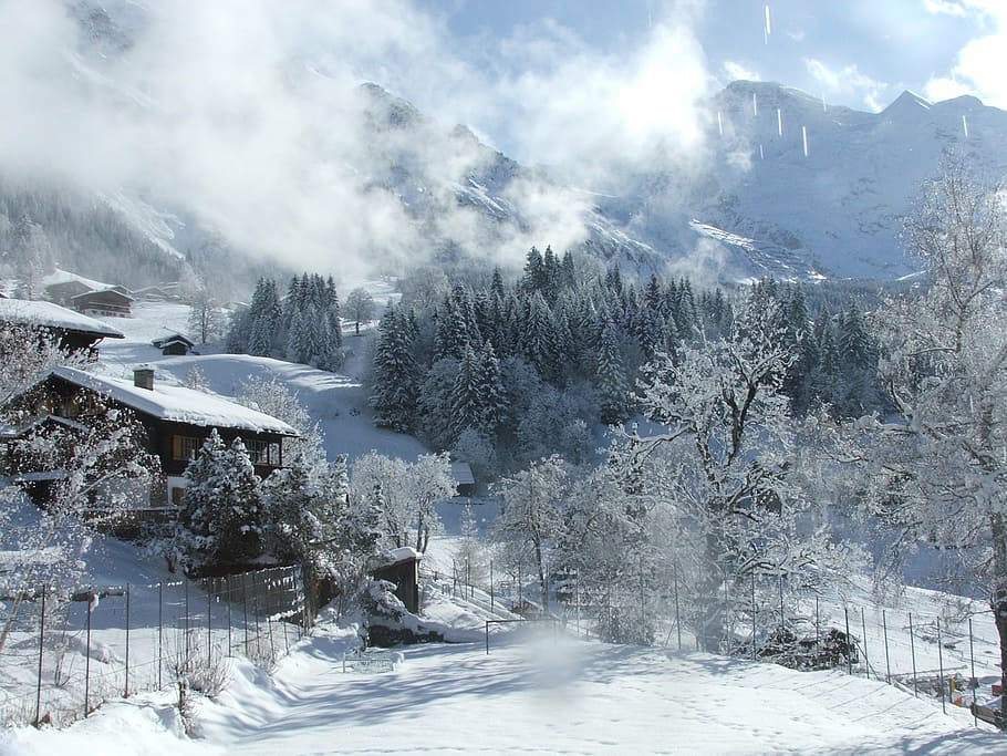 jungfrau, winter, daylight view, cold temperature, snow, mountain