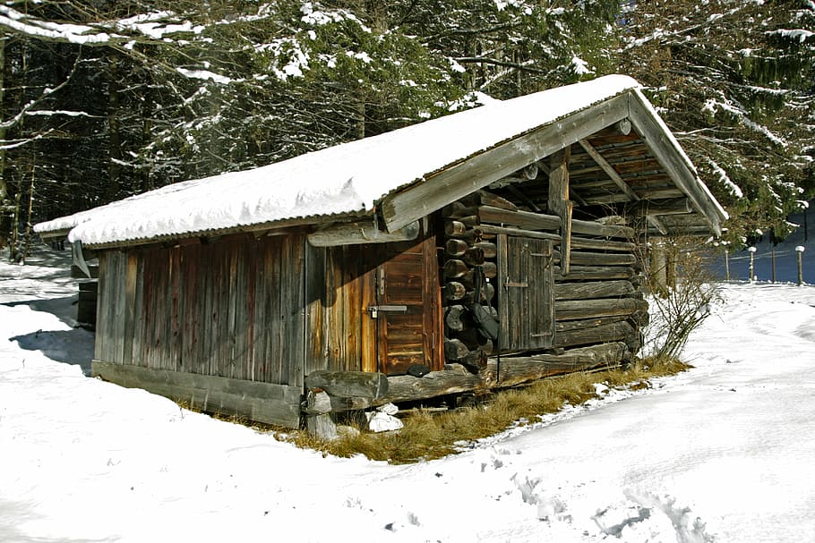 building, stall, winter, forest, nature, snow, cold temperature HD wallpaper