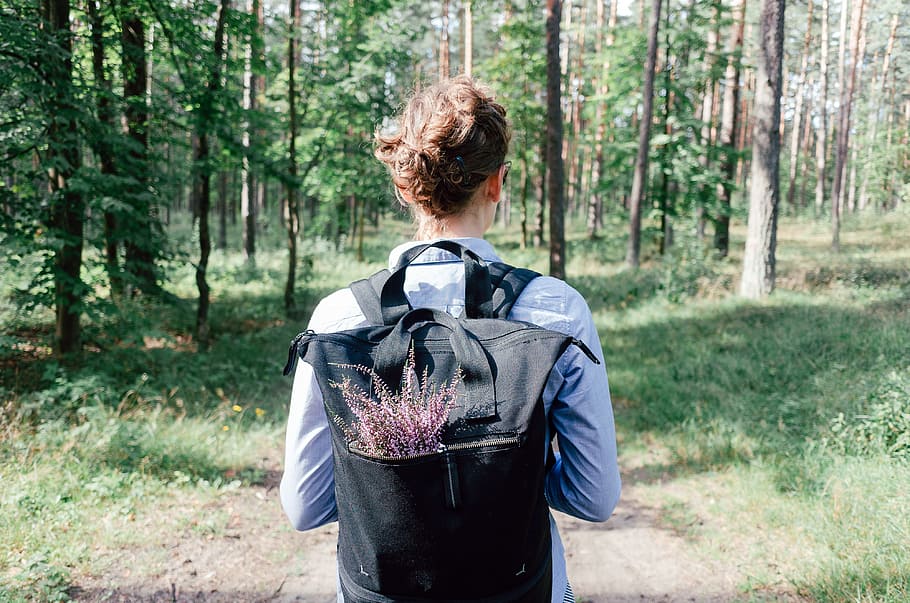 Woman with heather flowers, nature, people, outdoors, backpack HD wallpaper