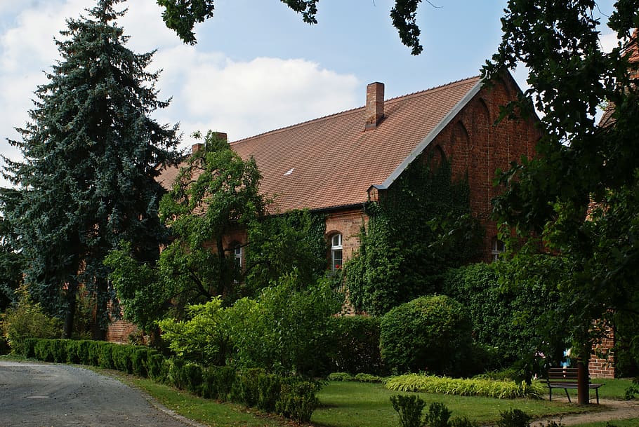 rectory, monastery, romantic, architecture, trees, overgrown HD wallpaper