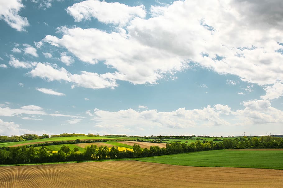 Another Scenery with Fields, clouds, nature, sky, view, rural Scene HD wallpaper