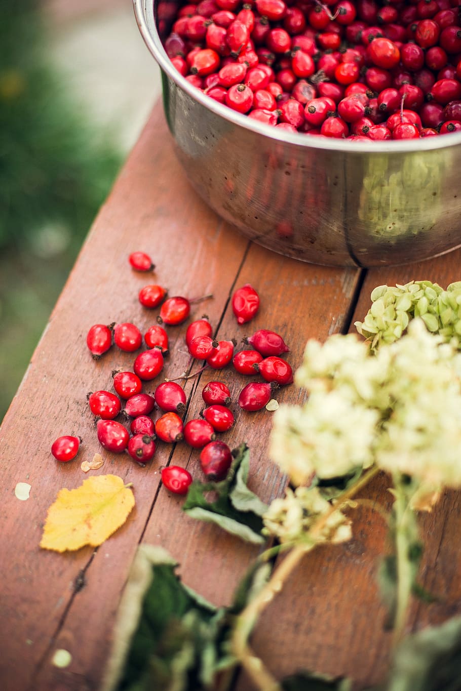 red seeds in gray container, bunch of red round fruits, berry HD wallpaper