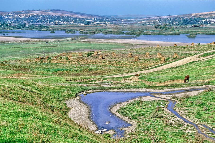 moldova, landscape, scenic, stream, water, horse, river, farm, HD wallpaper