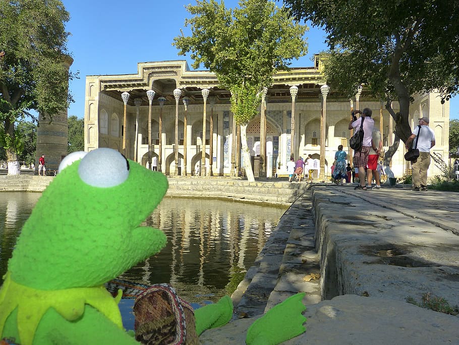 bolo hauz, mosque, columnar, kermit, frog, green wood carving HD wallpaper