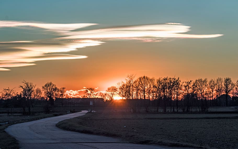 sunset, dawn, nature, dusk, sky, tree, plant, beauty in nature HD wallpaper