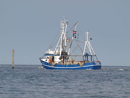 HD wallpaper: fishing vessel, shrimp, north sea, cutter, ship, east frisia