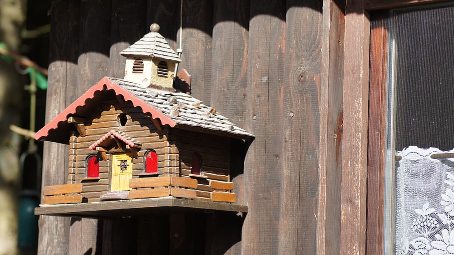 bird feeder, aviary, feeding place, nesting box, architecture, HD wallpaper