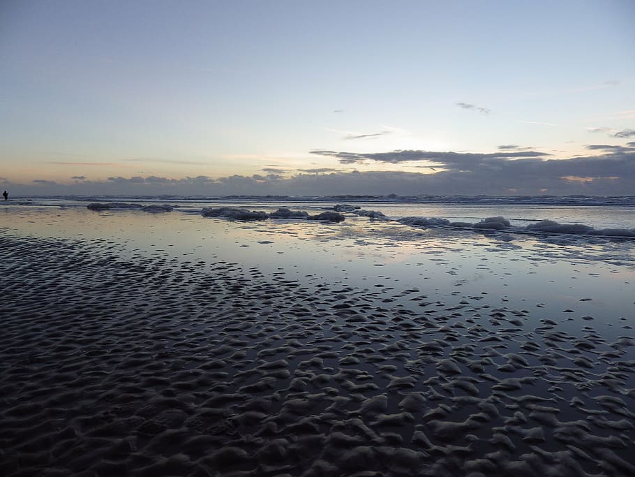beach, sea, sunset, summer, coast, netherlands, nature, sand HD wallpaper