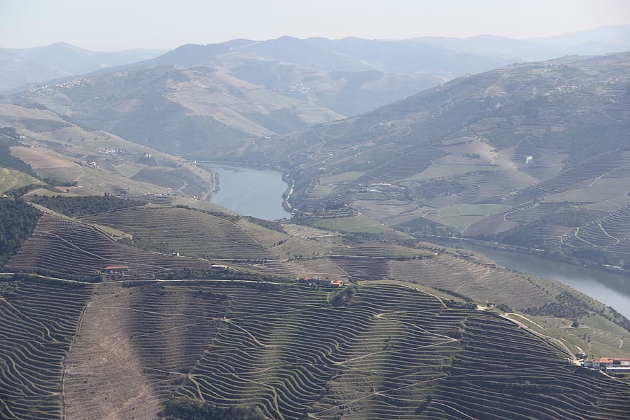 douro, wine, portugal, valley, country, mountains, travel, scenics - nature, HD wallpaper