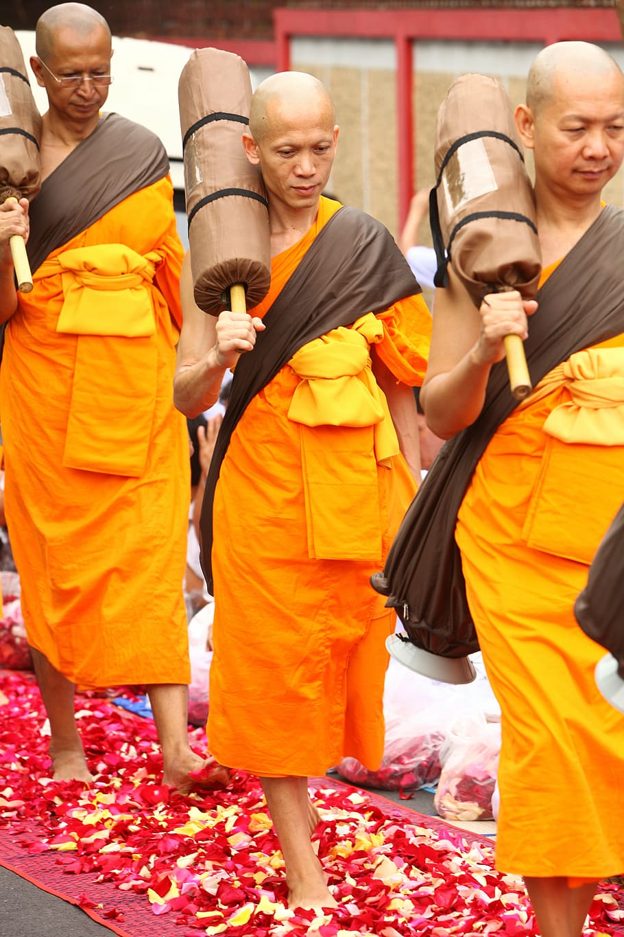 monk, buddhist, meditate, tradition, ceremony, orange, robe, HD wallpaper