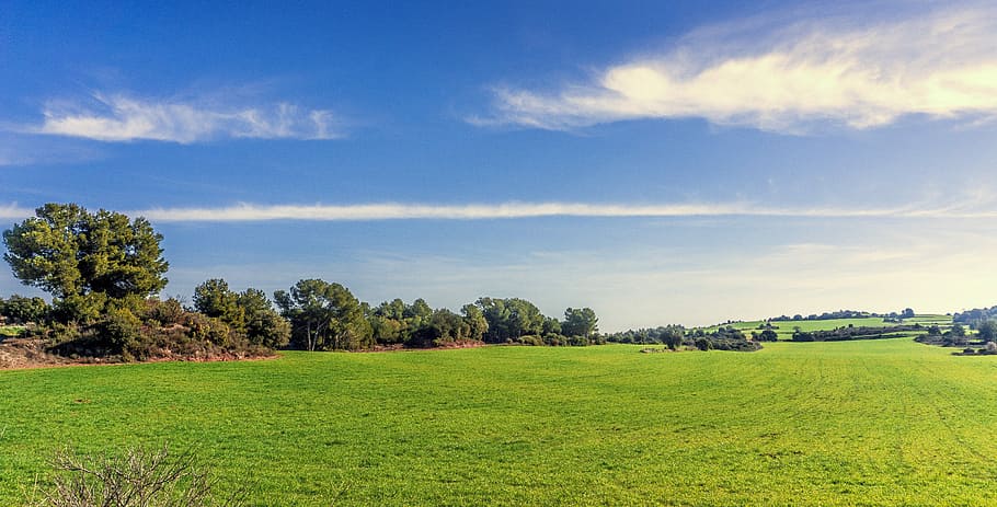 green field under clear blue sky, nature, lawn, panoramic, summer, HD wallpaper