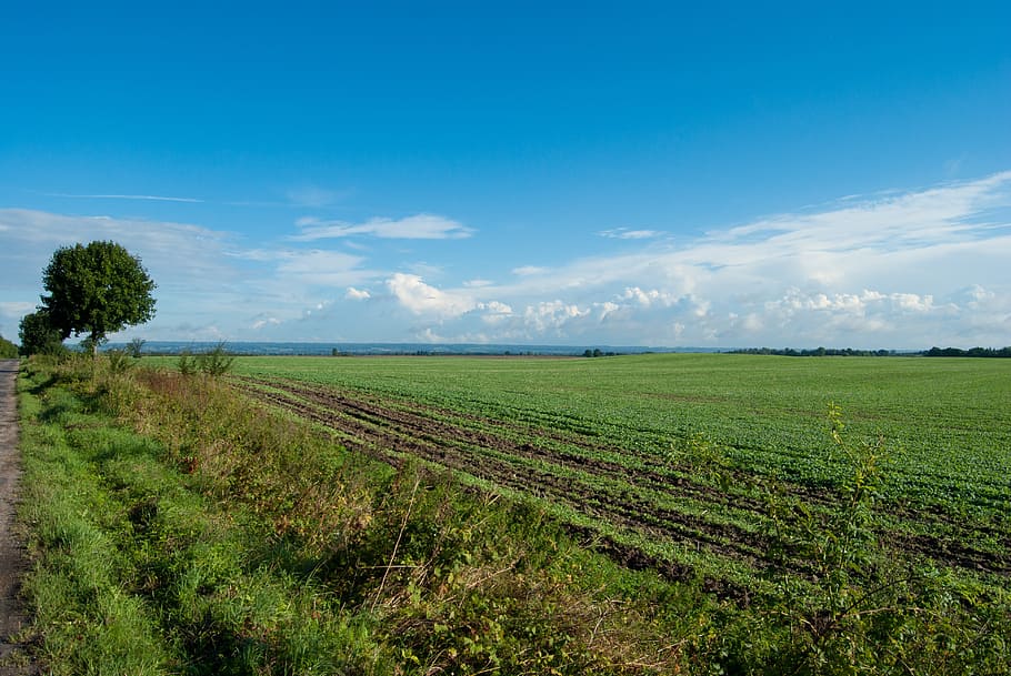 field, clouds, landscape, agriculture, nature, rural Scene HD wallpaper