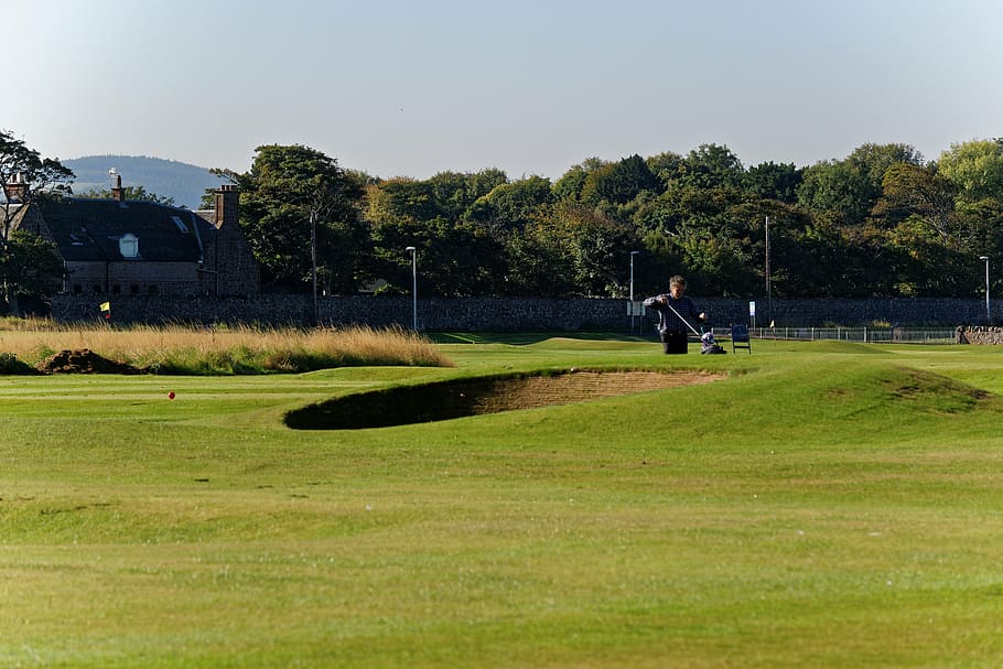 golfer, golf course, bunker, green, sport, grass, golfing, play HD wallpaper