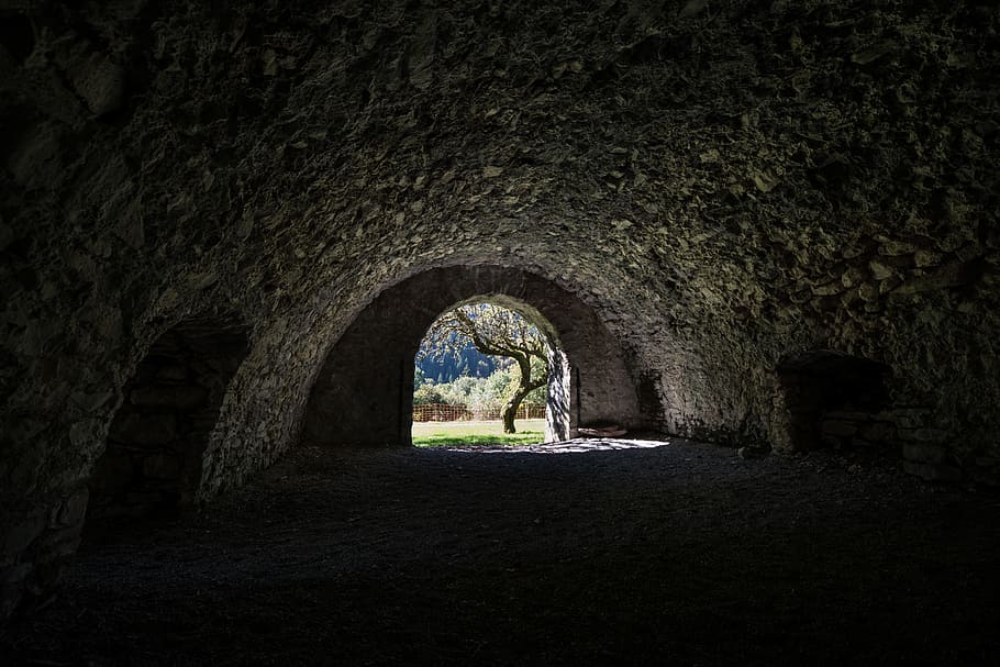 black and white, architecture, tunnel, structure, tree, nature HD wallpaper