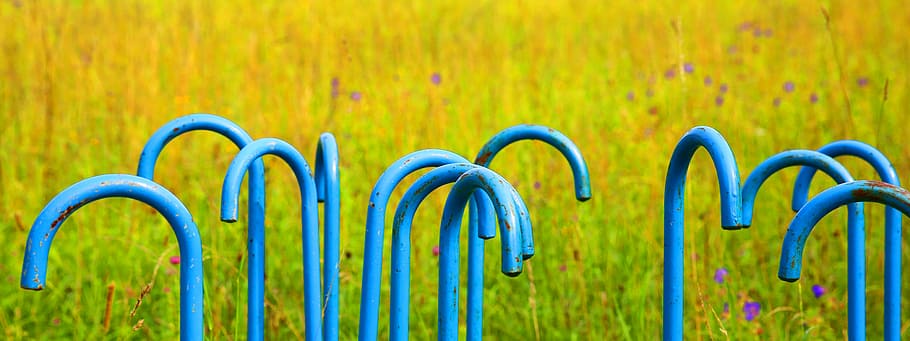 walking stick, handle, cane handle, floor, botanical garden HD wallpaper