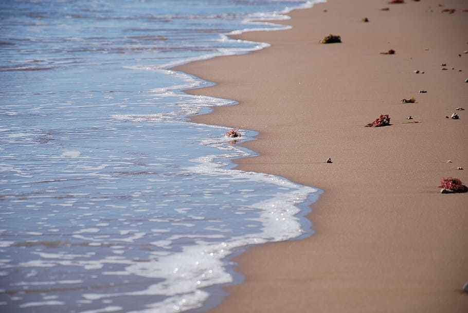 foam, ocean, water, beach, sand, wave, tidal, sea, nature, coast HD wallpaper