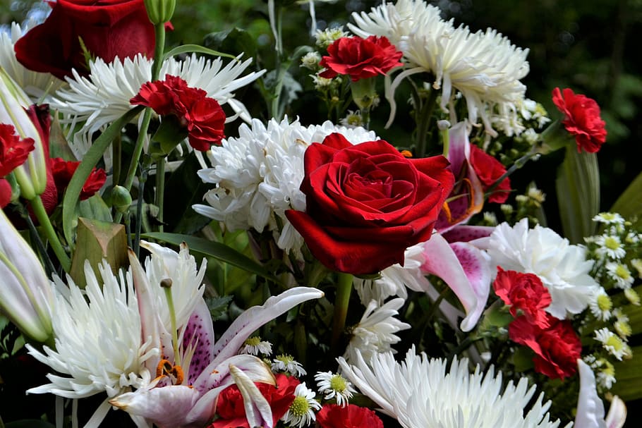 close-up photo of red rose and white petaled flowers bouquet