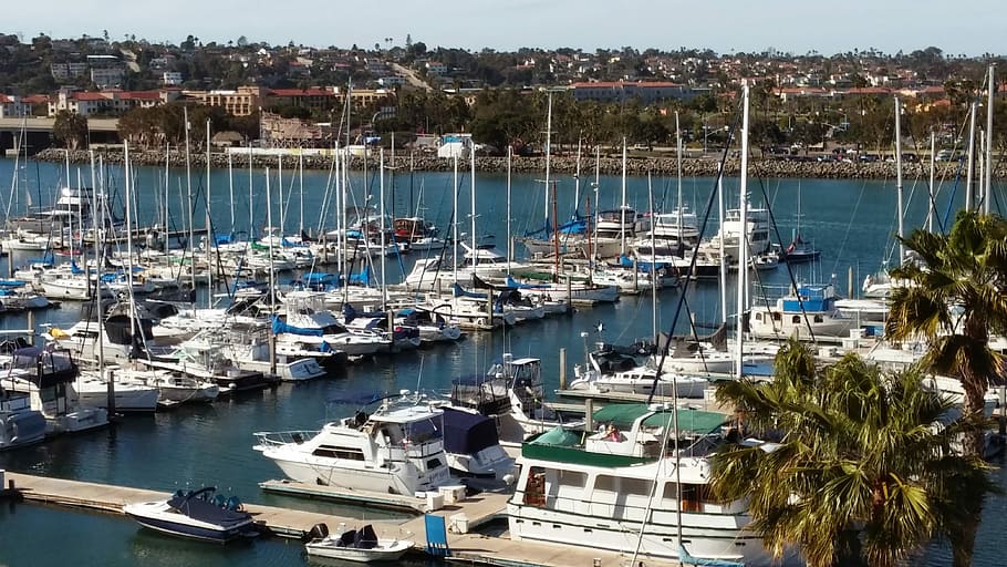 Boat Marina in San Diego, California, boats, photo, public domain, HD wallpaper