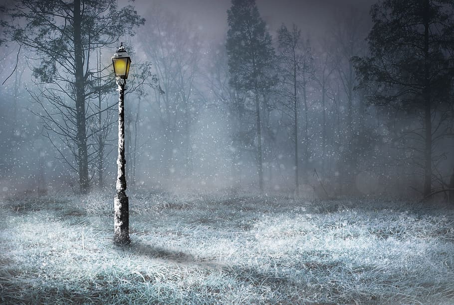 lamp post in forest, snow, outdoors, nature, woods, lamp light