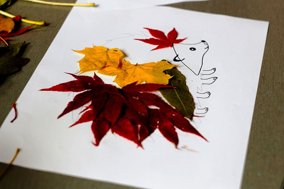 leaf, fall, autumn, paper, drawing, plant part, change, maple leaf HD wallpaper