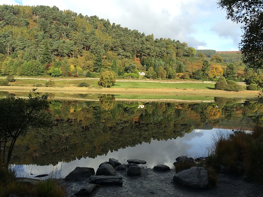 Ireland, Lake, Nature, Landscape, Water, loneliness, glendalough