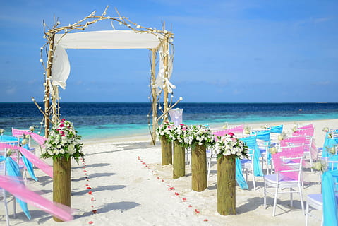 white and pink flowers near body of water, atoll, decor, decorations HD wallpaper