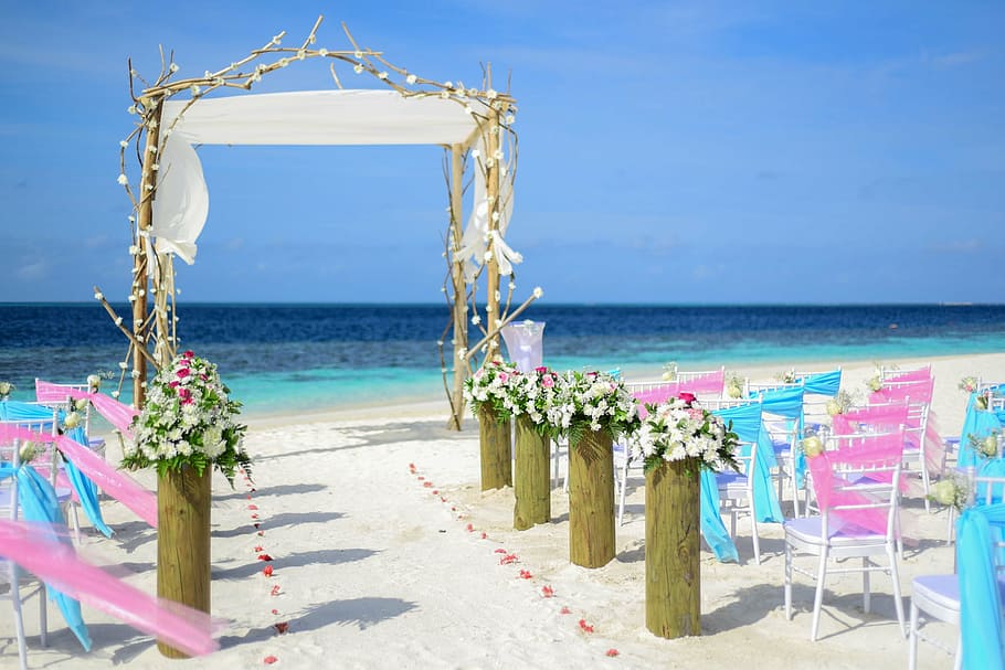 white and pink flowers near body of water, atoll, decor, decorations HD wallpaper