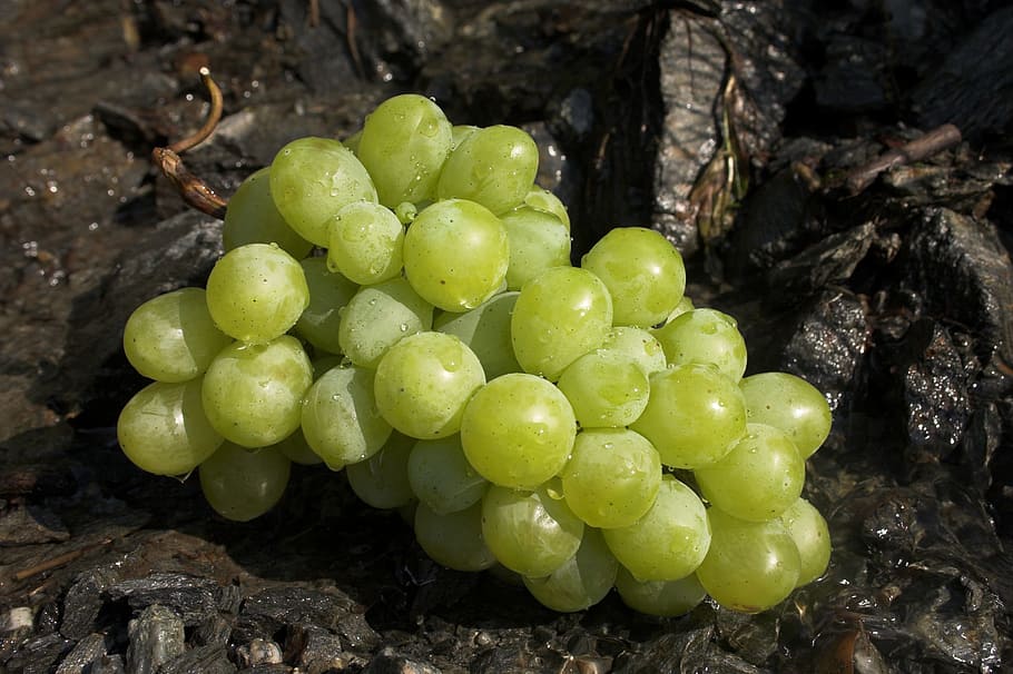 grapes, green, fruit, table grapes, vitamins, healthy, food HD wallpaper