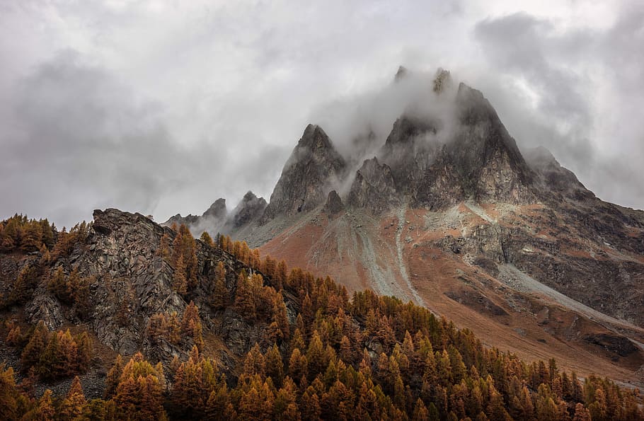 mountain near trees under cloudy sky, brown trees with distance at rocky mountain cover with clouds HD wallpaper