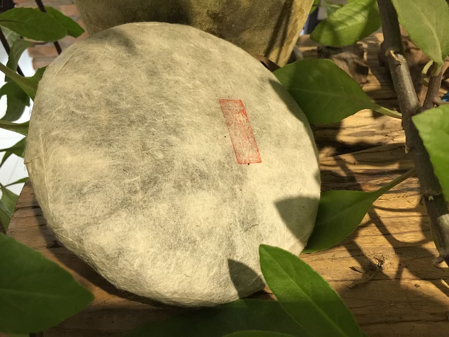 pu-erh tea, tea cake, leaf, plant part, nature, sunlight, day HD wallpaper
