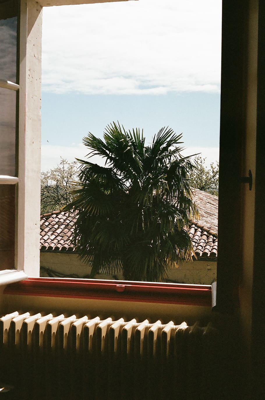 window, palm tree, heater, radiator, sill, roof, sky, plant HD wallpaper
