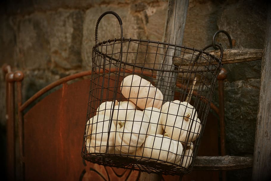 white pumpkins in black metal basket on brown wooden ladder closeup photography HD wallpaper
